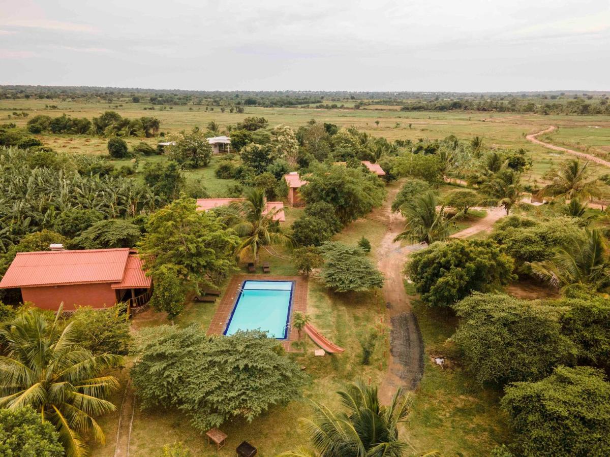 Yala Peace Cottages Tissamaharama Zewnętrze zdjęcie