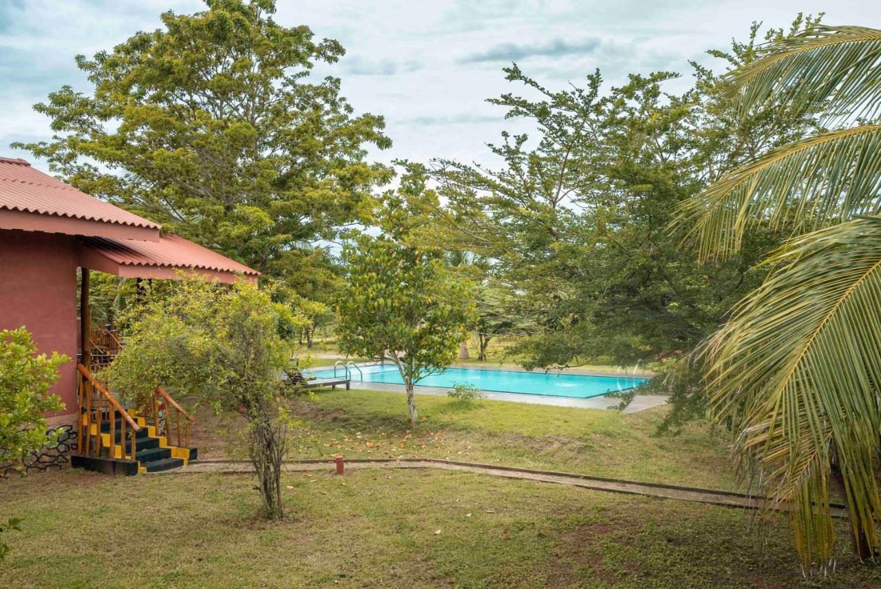 Yala Peace Cottages Tissamaharama Zewnętrze zdjęcie
