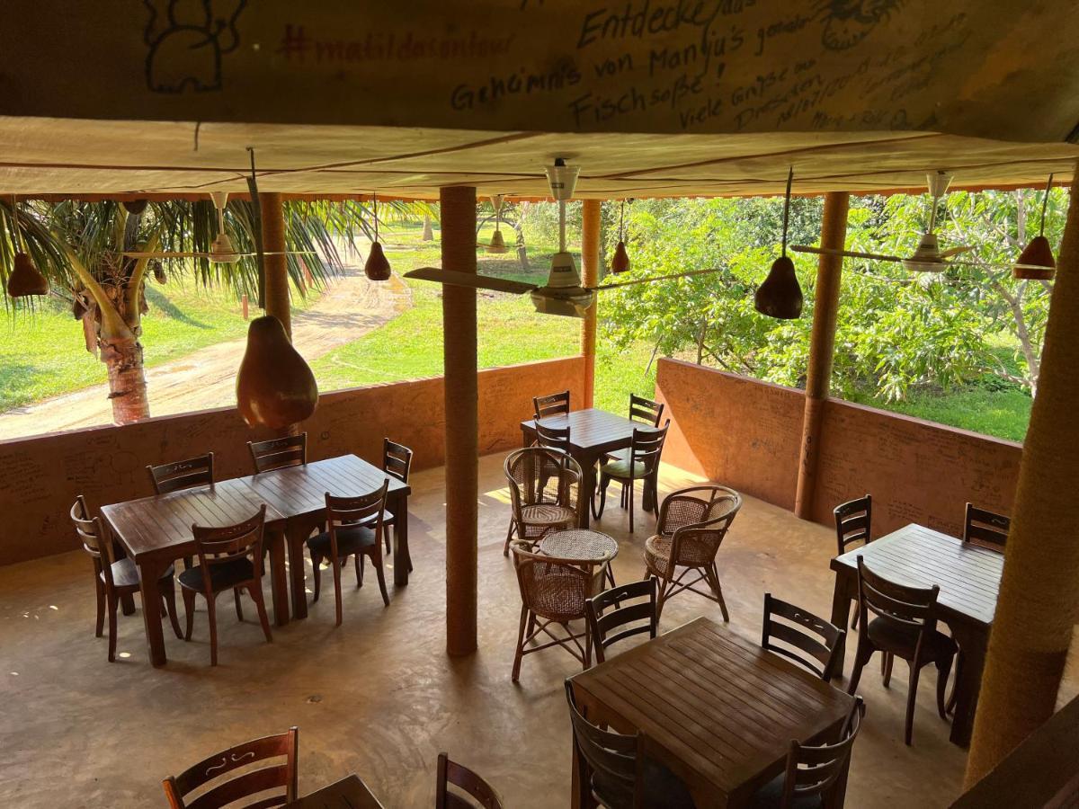 Yala Peace Cottages Tissamaharama Zewnętrze zdjęcie