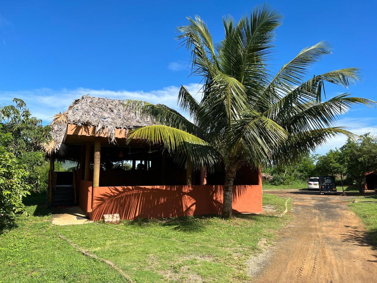 Yala Peace Cottages Tissamaharama Zewnętrze zdjęcie