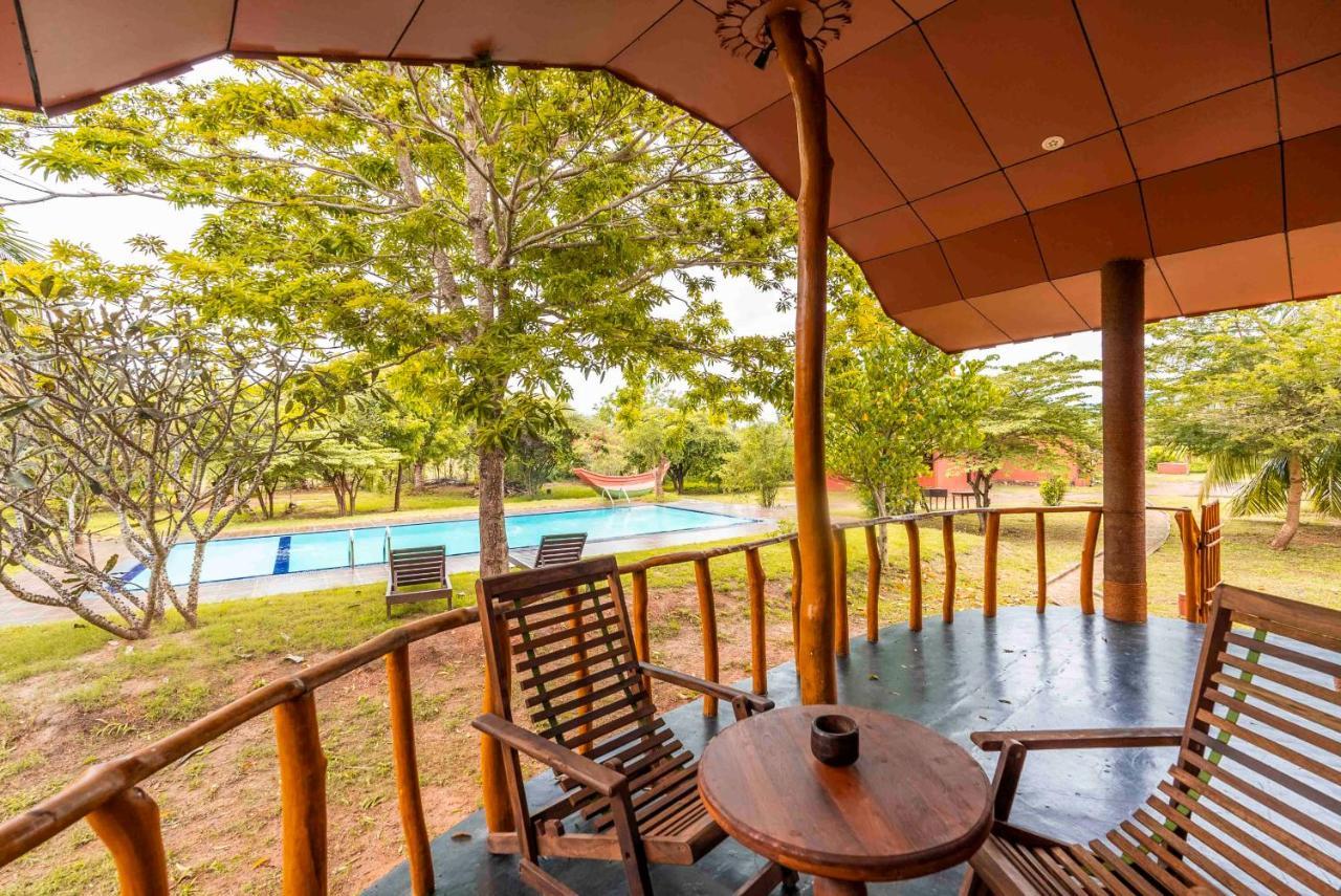 Yala Peace Cottages Tissamaharama Zewnętrze zdjęcie