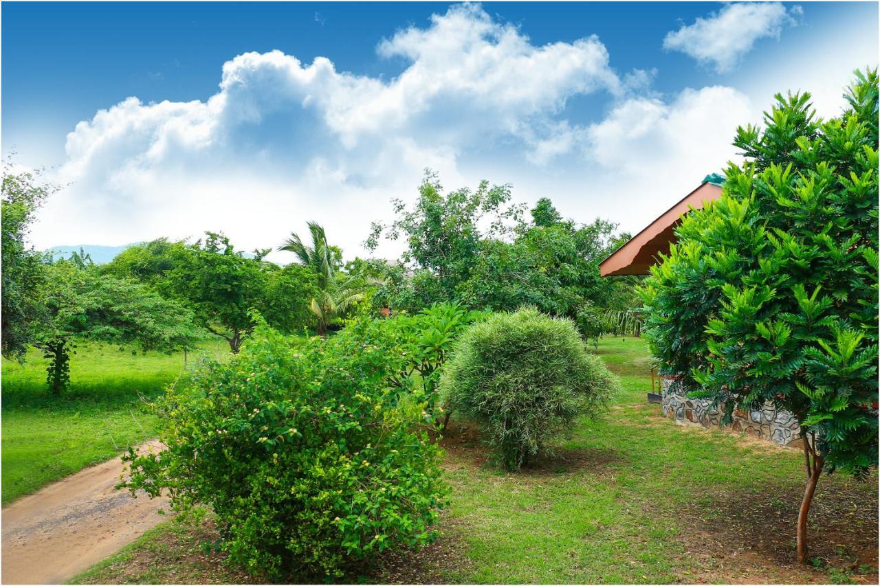 Yala Peace Cottages Tissamaharama Zewnętrze zdjęcie
