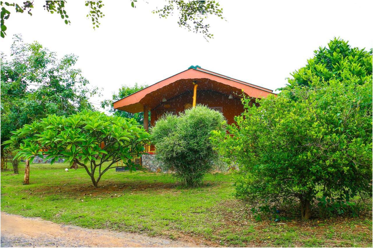 Yala Peace Cottages Tissamaharama Zewnętrze zdjęcie